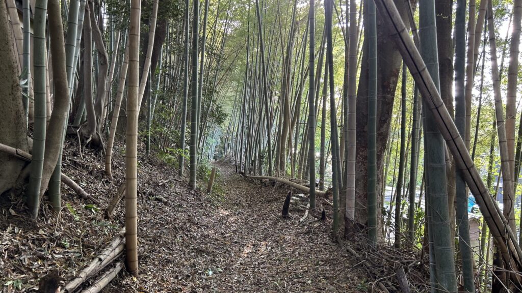 足尾山神社