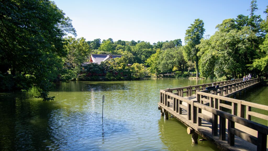 井の頭池の風景