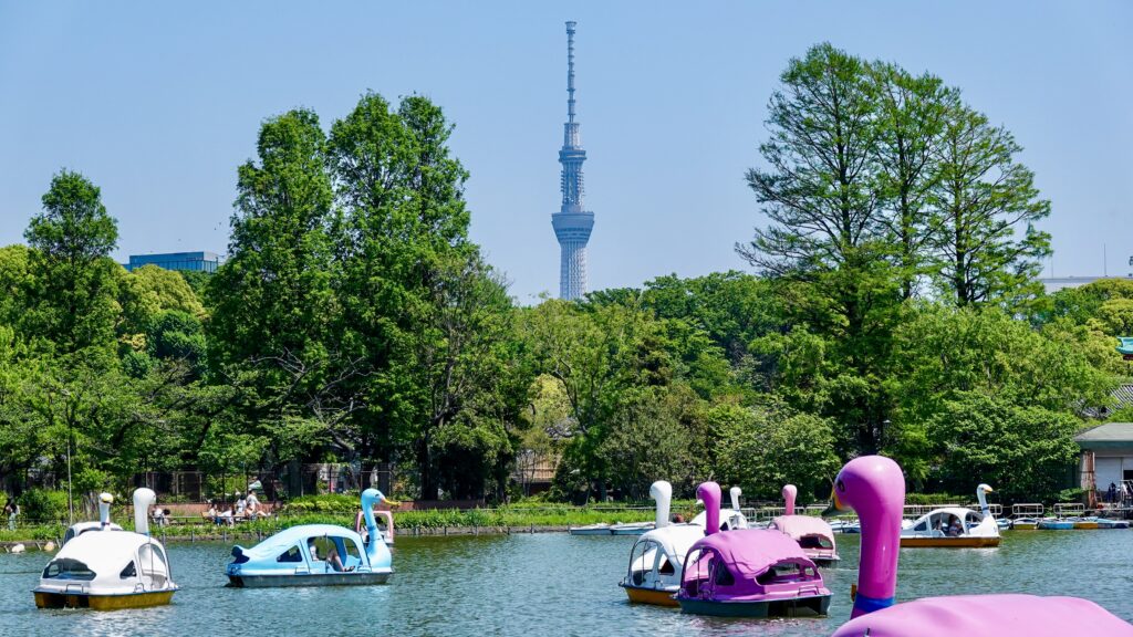 上野公園の不忍池