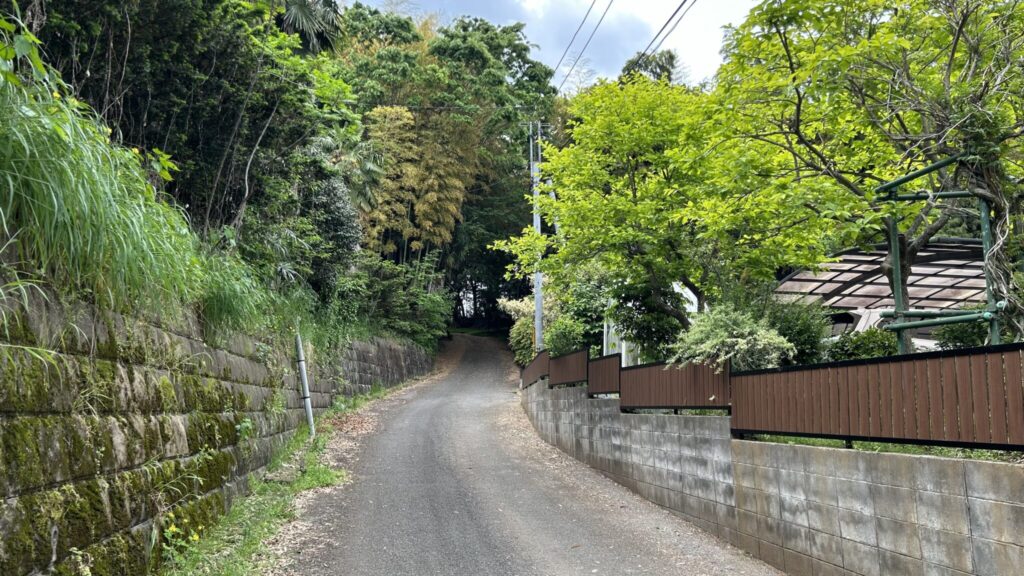 湖北駅から下手賀沼へ向かう道の美しい風景