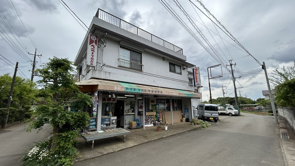 湖北駅から下手賀沼へ向かう道の美しい風景