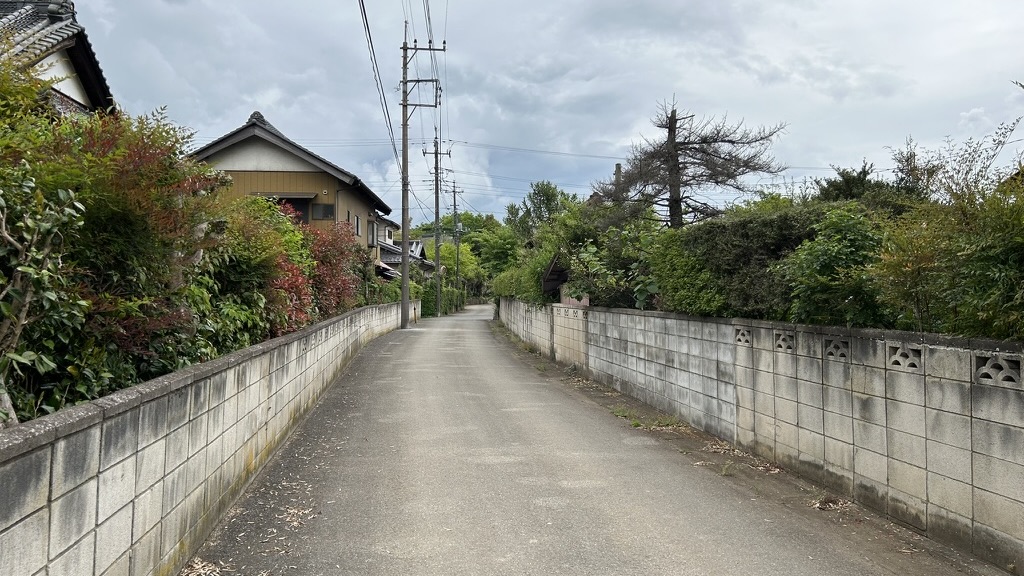 湖北駅から下手賀沼へ向かう道の美しい風景