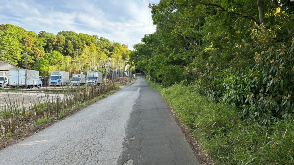 古利根沼の東岸エリア