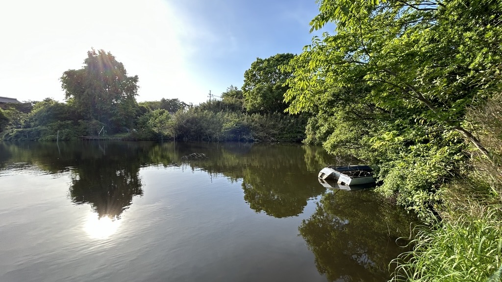 古利根沼の東岸エリア