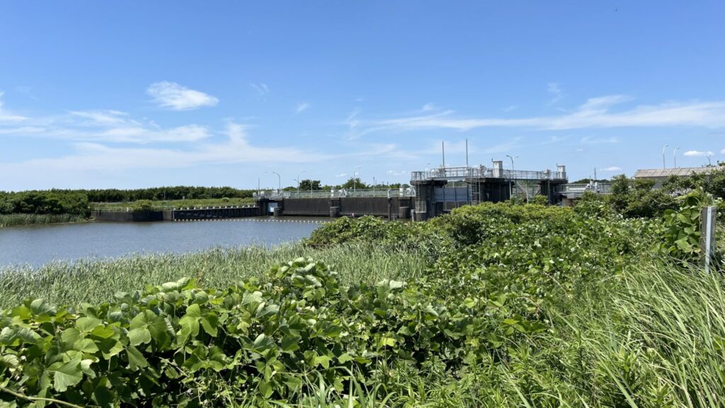 印旛沼の酒直水門