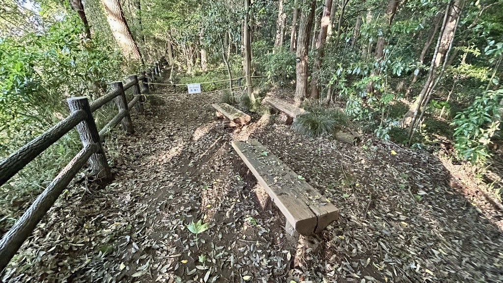 古利根公園自然観察の森展望台