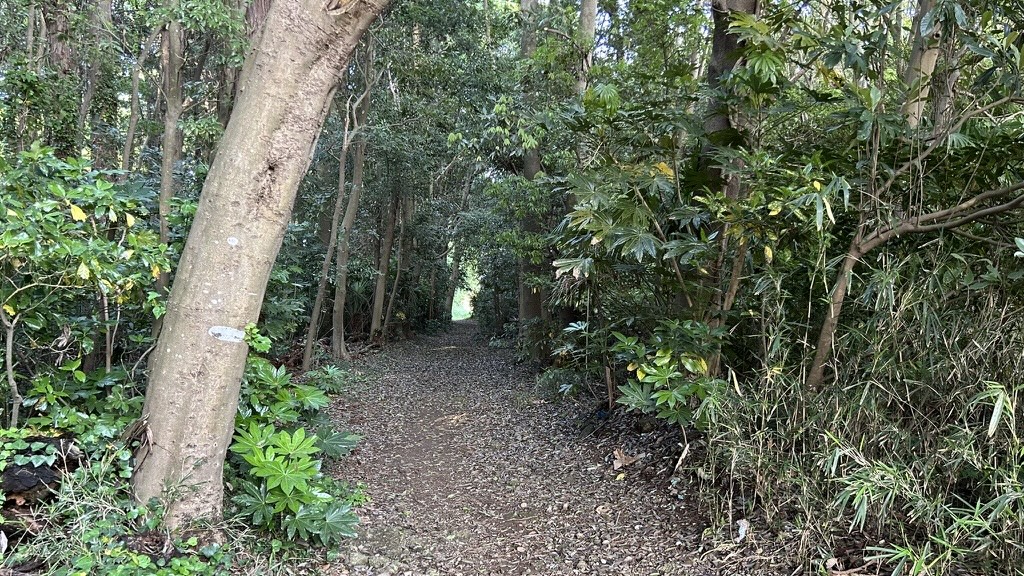 古利根公園自然観察の森