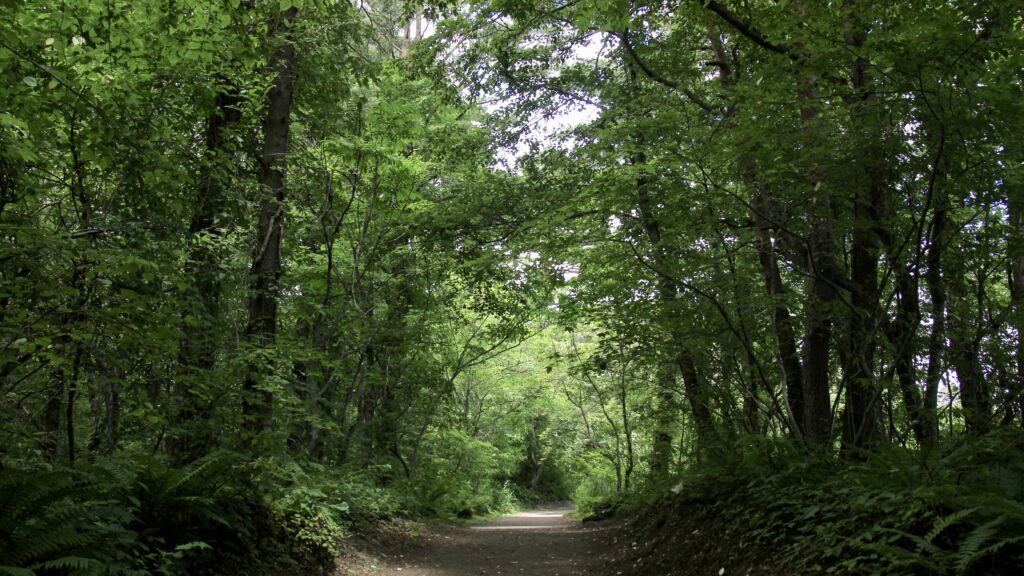 五色沼自然探勝路