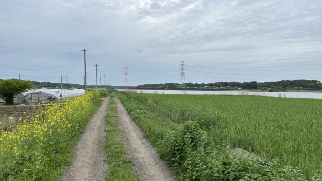 沼は見えるが長閑ではない農業エリア