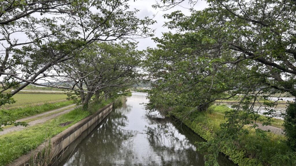 下手賀沼に流れ込む水路