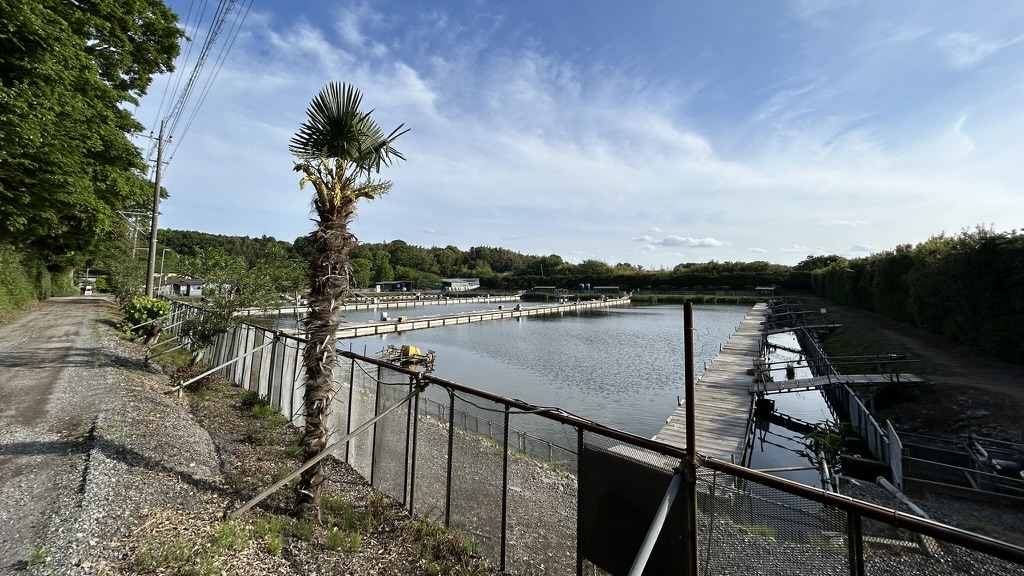 管理釣場さくら湖