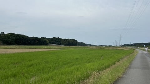 低湿地帯(沼)は水田になり