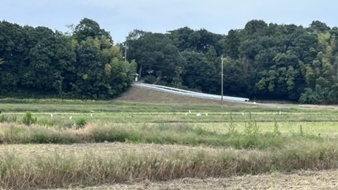 人々は周辺の高台に住む