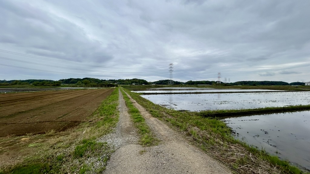 沼の見えない長閑な農業エリア