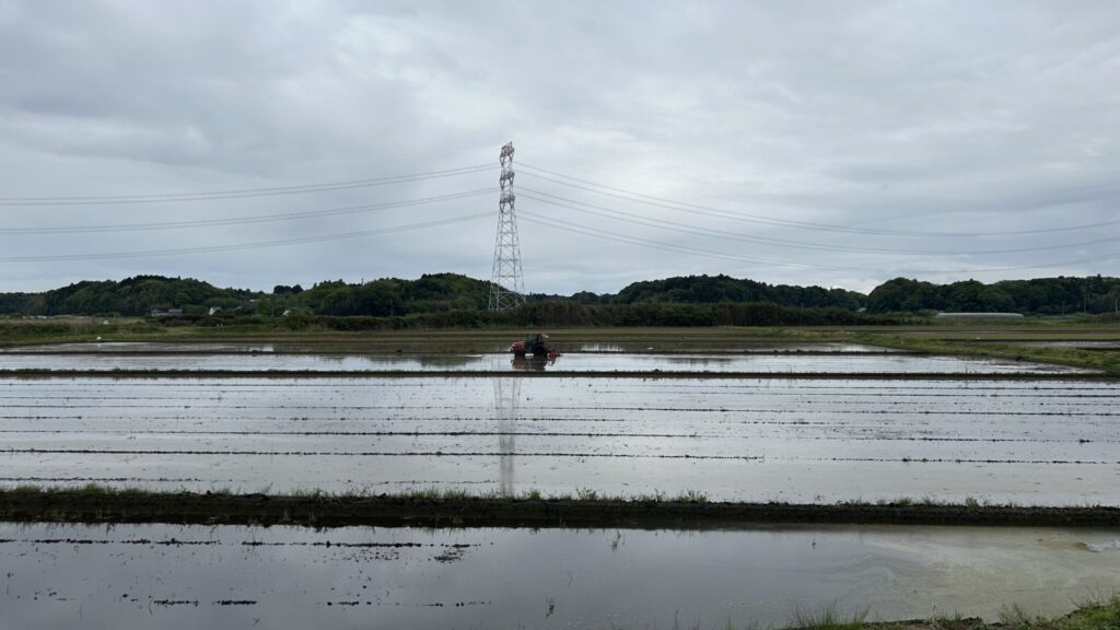 沼の見えない長閑な農業エリア