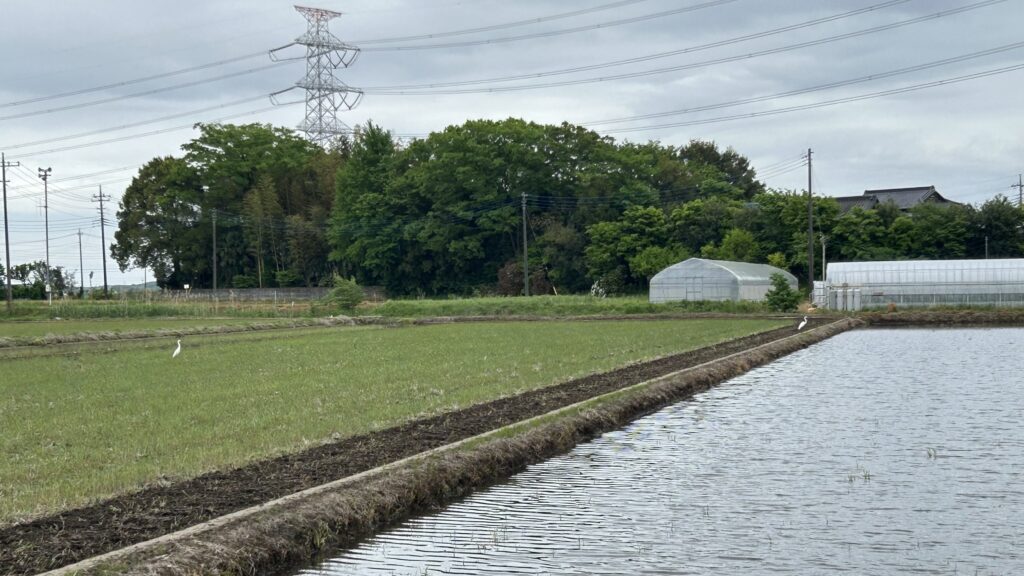 沼の見えない長閑な農業エリア