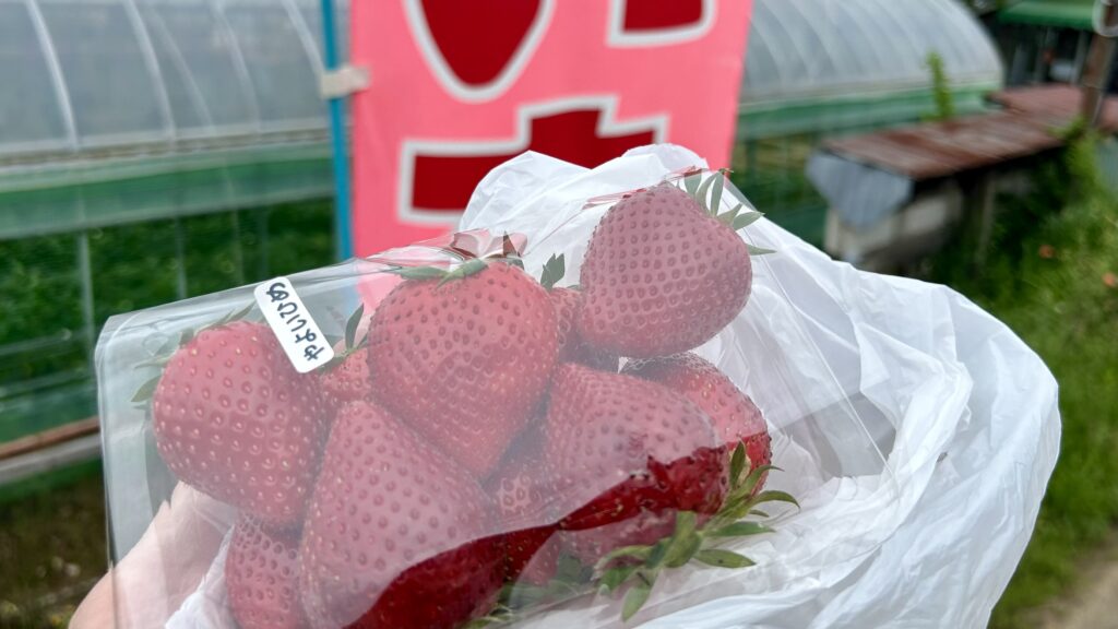 さかきばら農園 いちご直売所