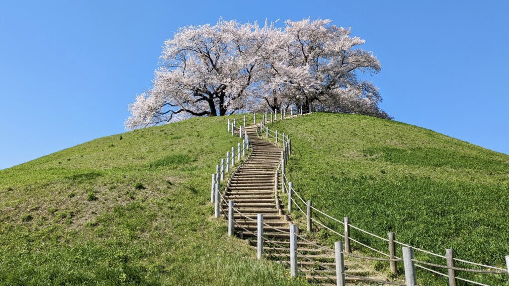 さきたま古墳公園