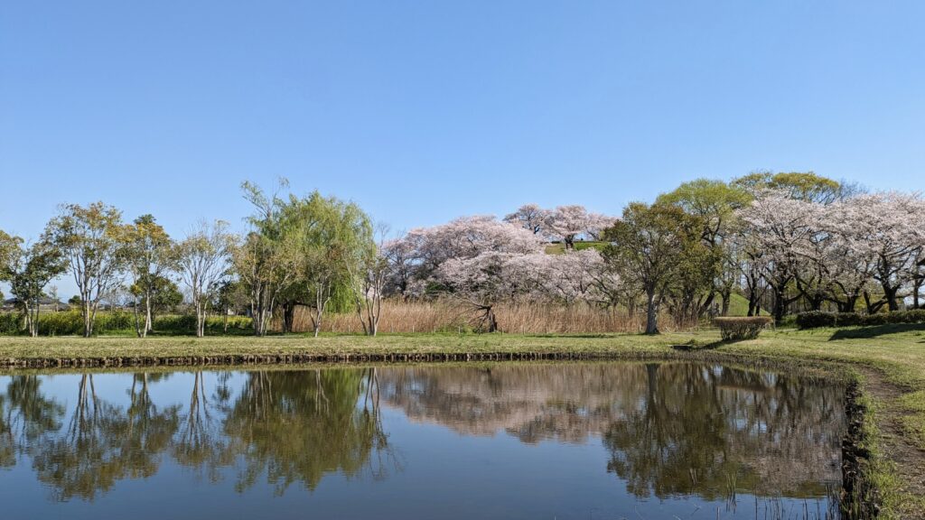 さきたま古墳公園