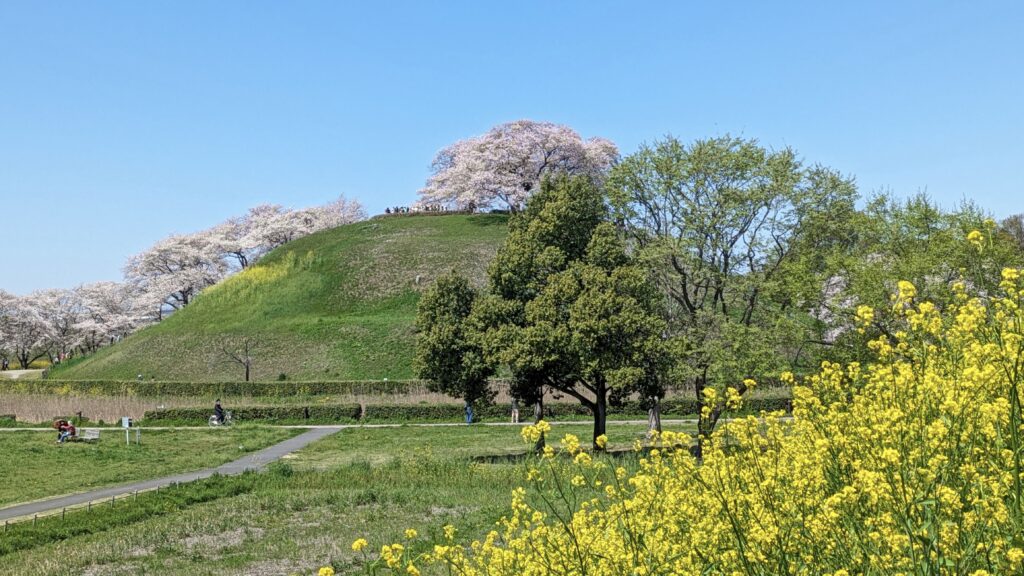 さきたま古墳群