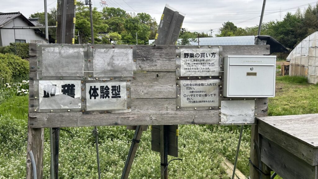 野菜直売 収穫 体験型セルフ