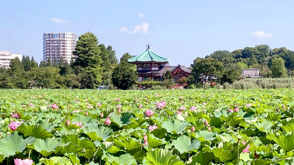 不忍池の風景