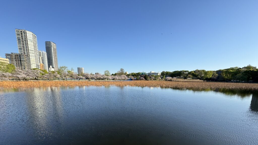 不忍池の風景