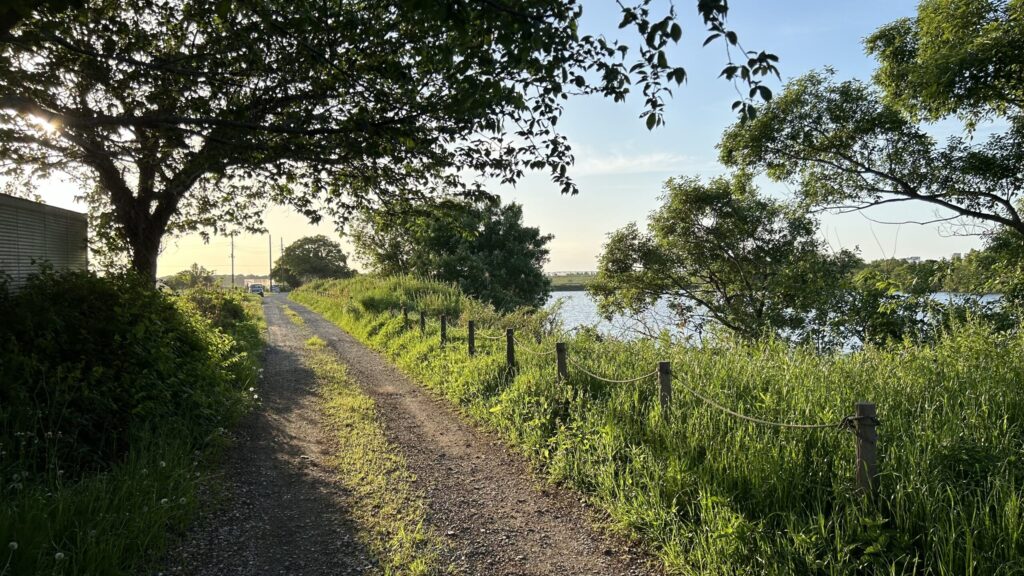 古利根沼の西岸エリア