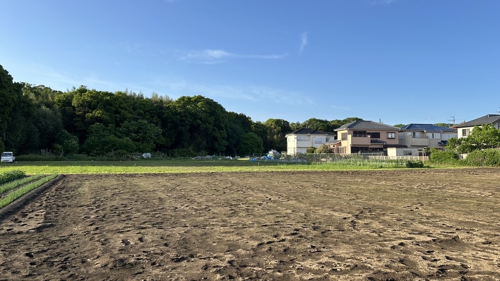 古利根沼の南岸エリア