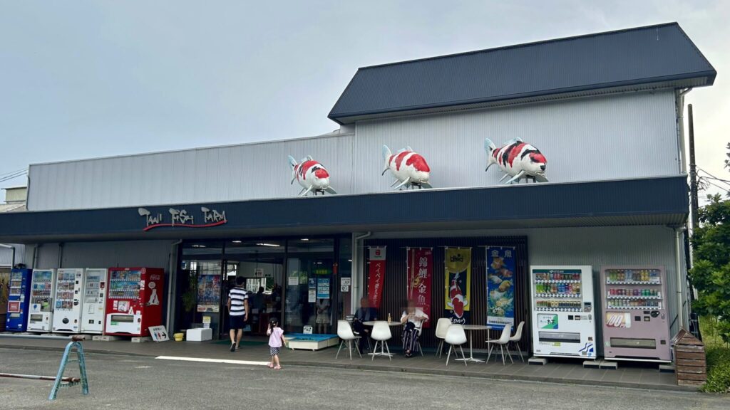 印旛沼の谷養魚場