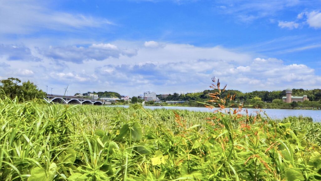 手賀沼の風景