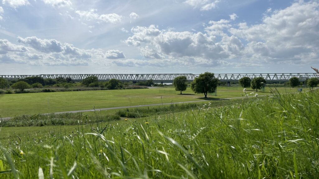 伊勢利前の利根川河川敷