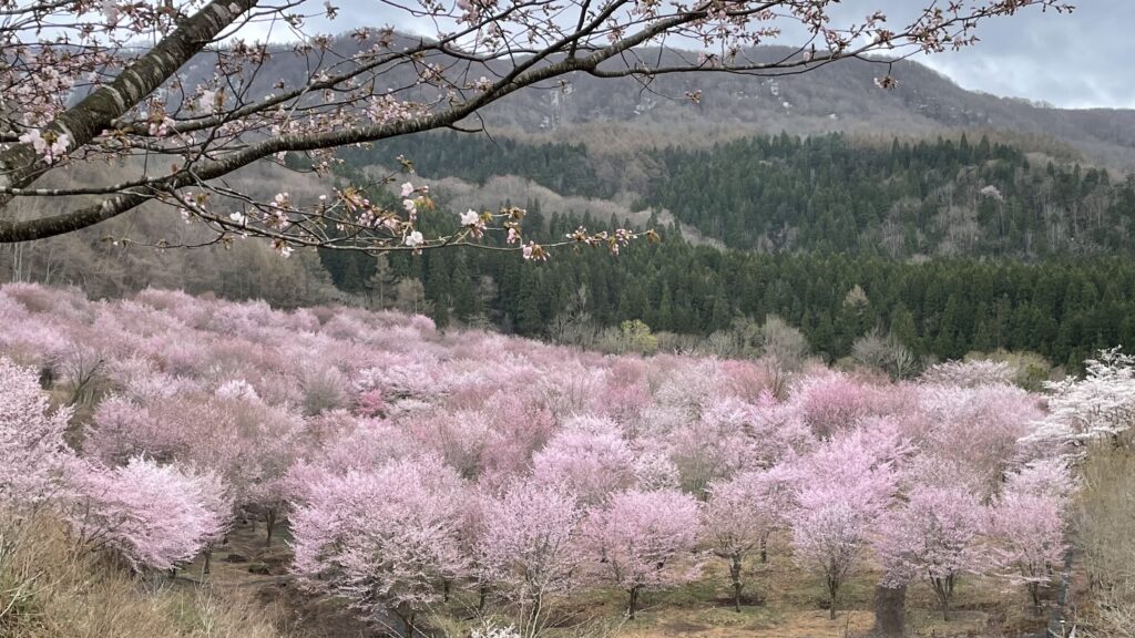 裏磐梯の四季