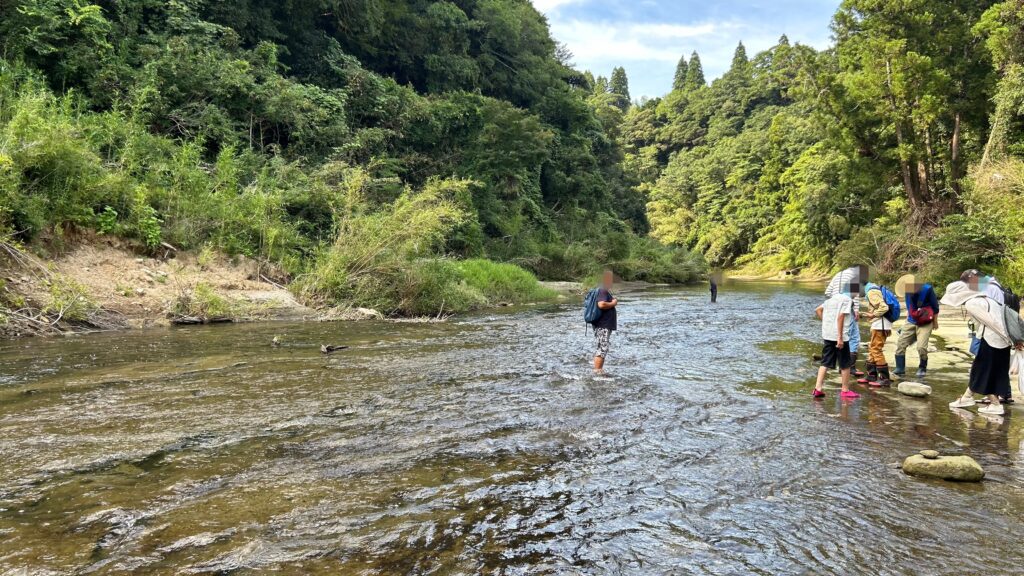 養老川で化石探し