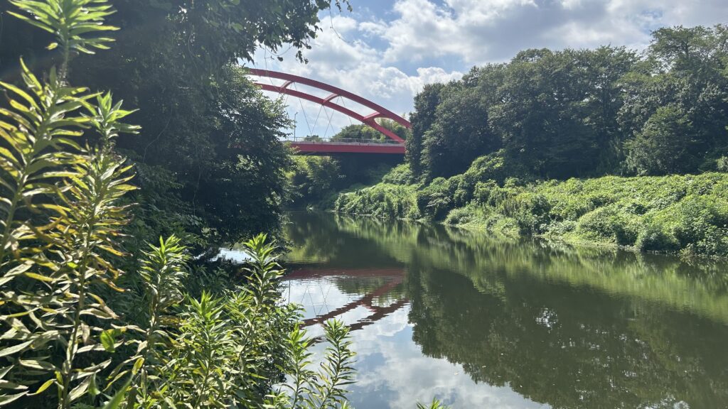 花見川サイクリングコース