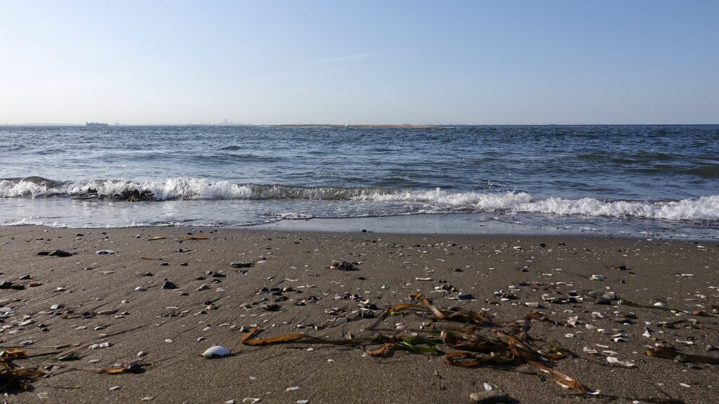 午後になるとテンションが下がる房総半島