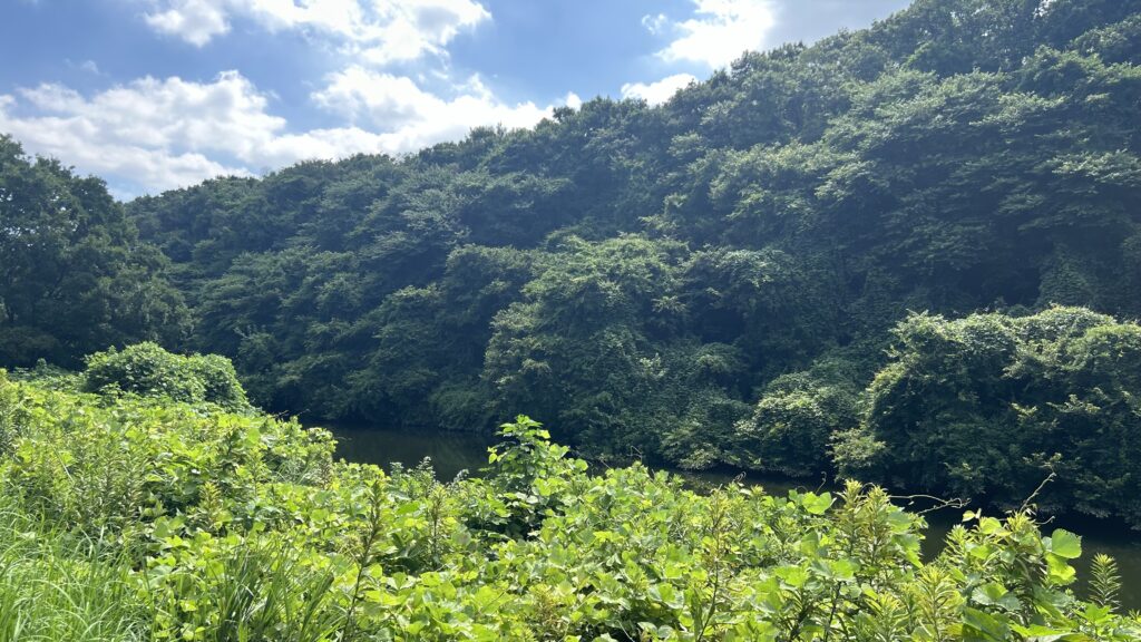 花見川サイクリングコース