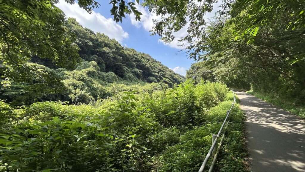 花見川サイクリングコース