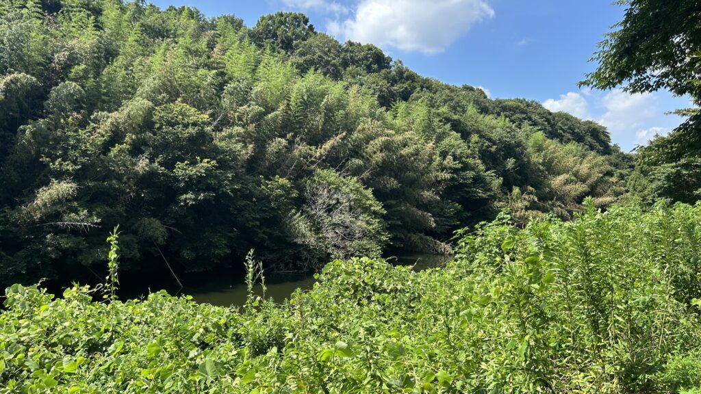 花見川サイクリングコース