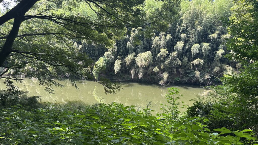 花見川サイクリングコース