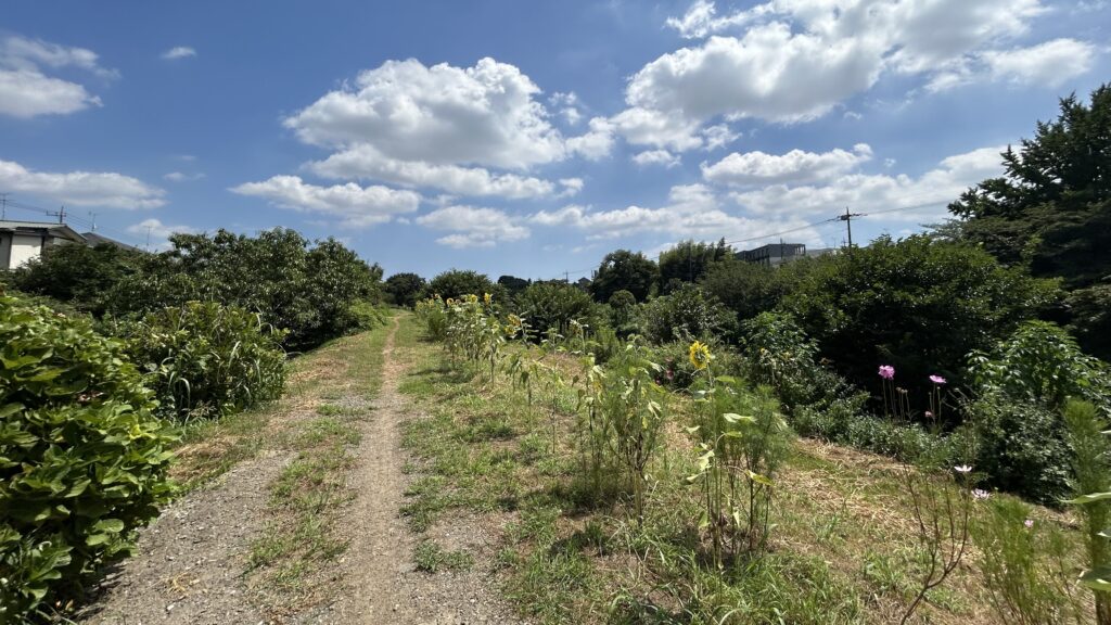 花見川サイクリングコース