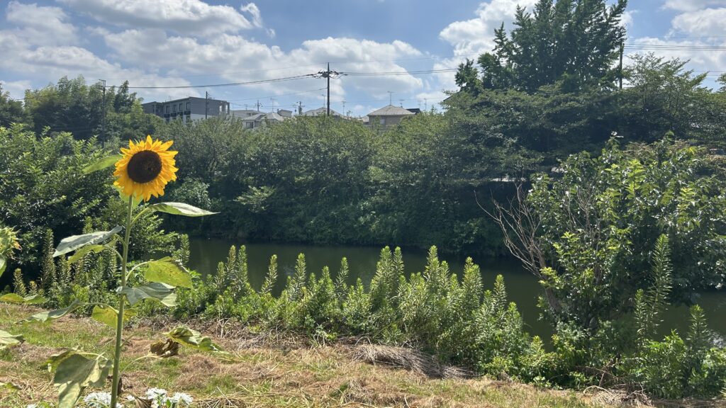 花見川サイクリングコース