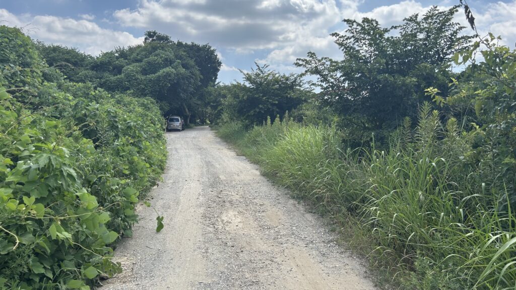 花見川サイクリングコース