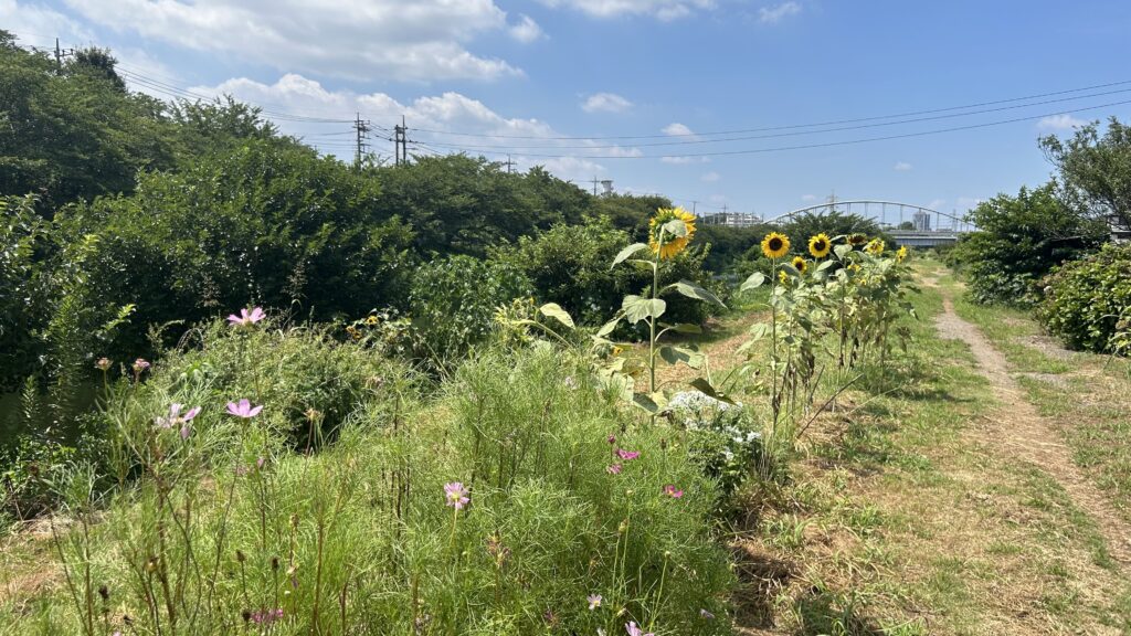 花見川サイクリングコース