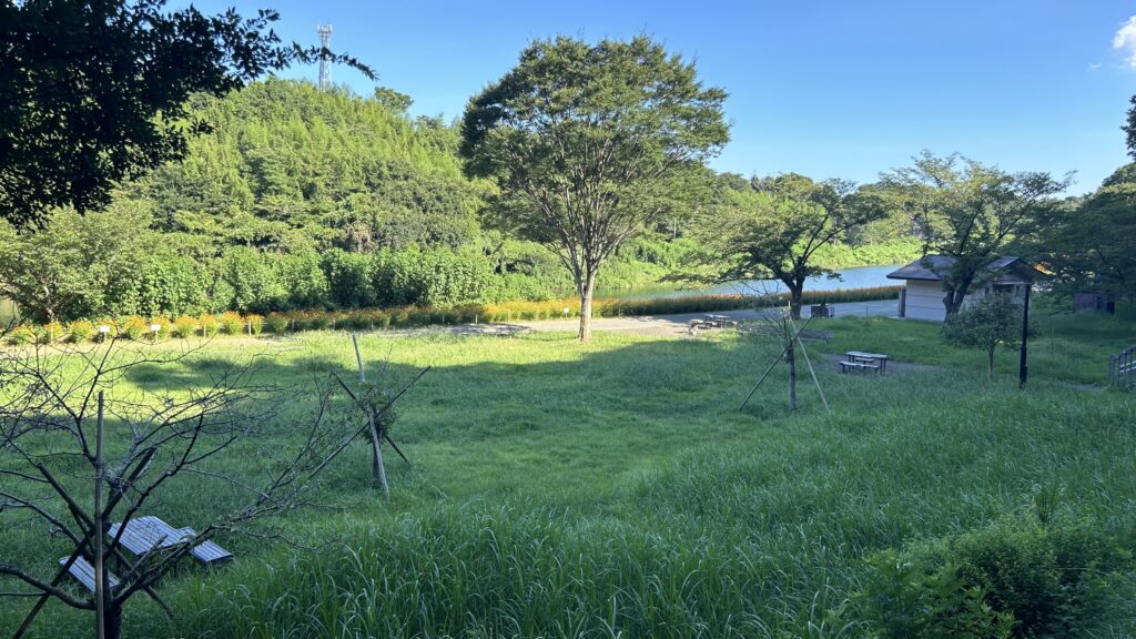 花島公園のお花見広場