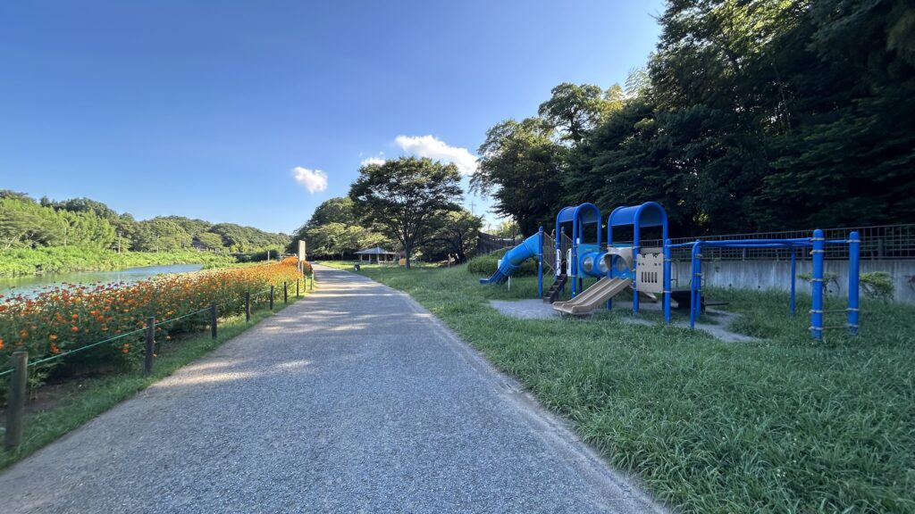 花島公園のお花見広場