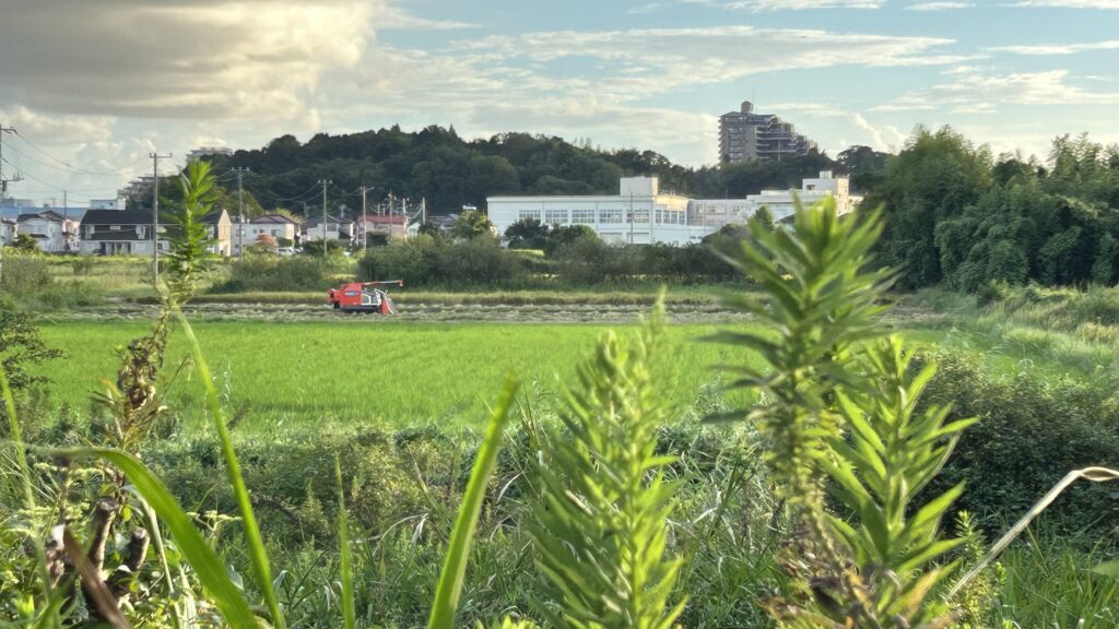 地元の経済と農業への影響