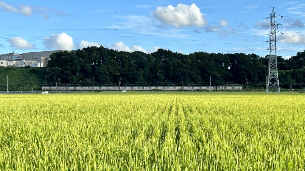 印旛沼の干拓値