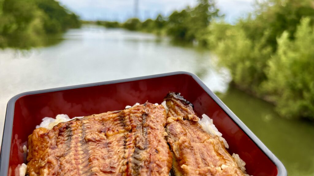 うな丼を持って沼へ向かう