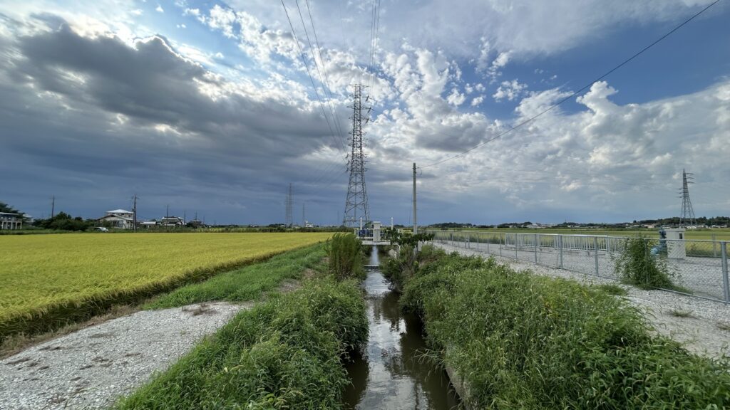 この池とうなぎ沼が地下で繋がっている可能性